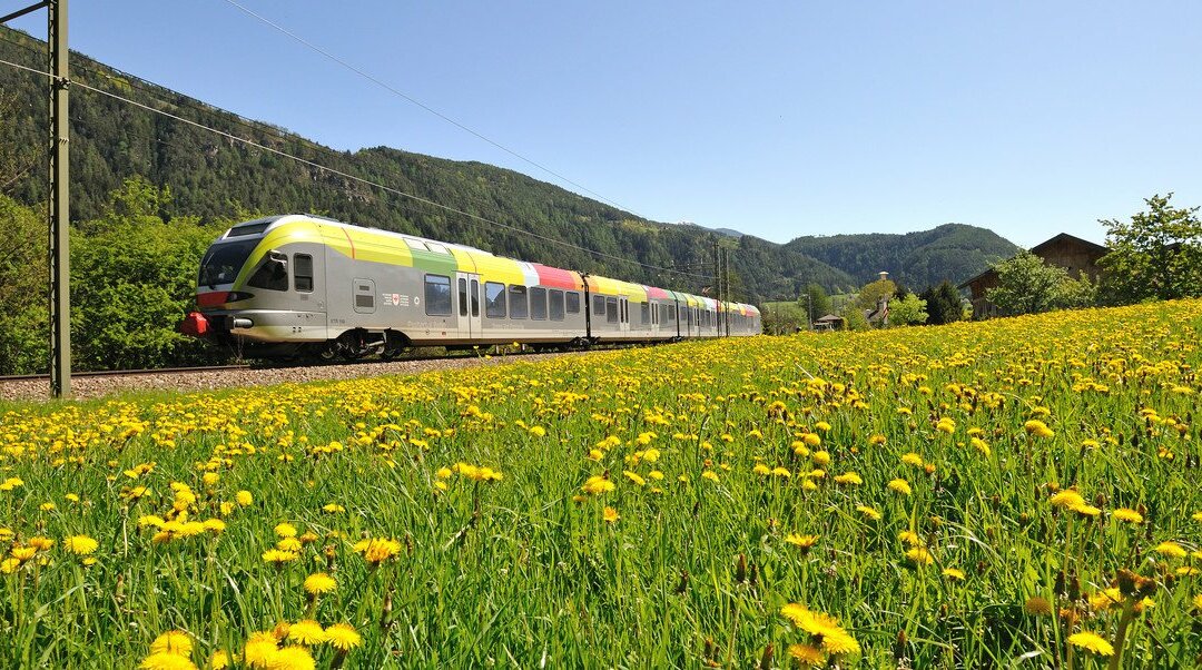 Pustertal railway next to meadow