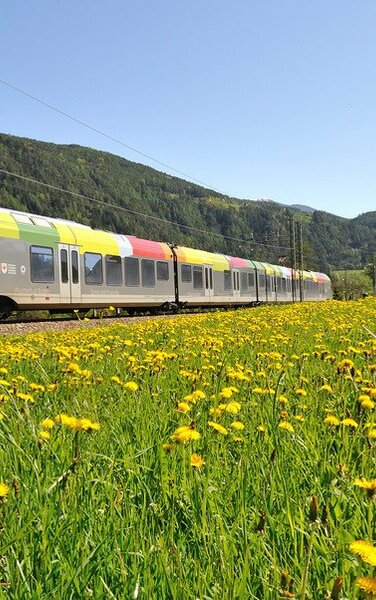 Pustertal railway next to meadow